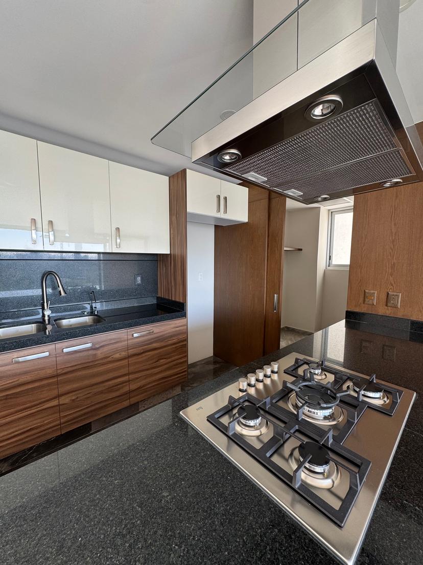 OLIVA RESIDENCE. UNA JOYA DE LAFAYETTE  4